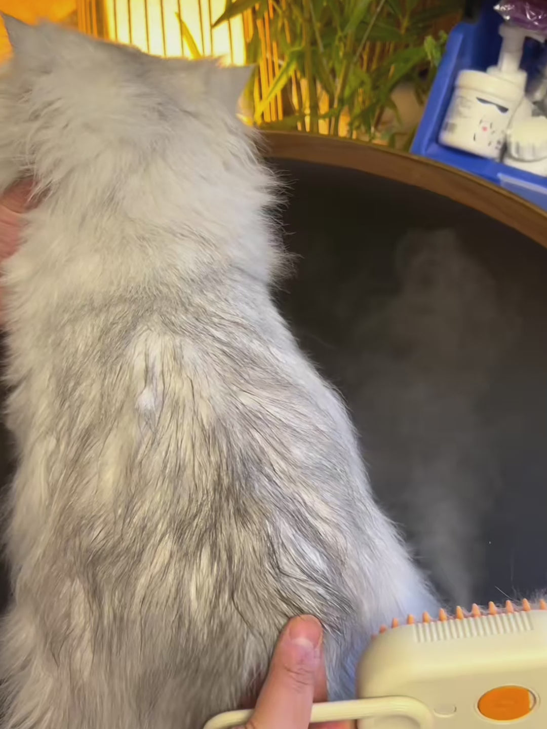 Zenvyra™ 3-in-1 Electric Pet Steam Brush — Grooming, Massage & Hair Removal for Cats & Dogs